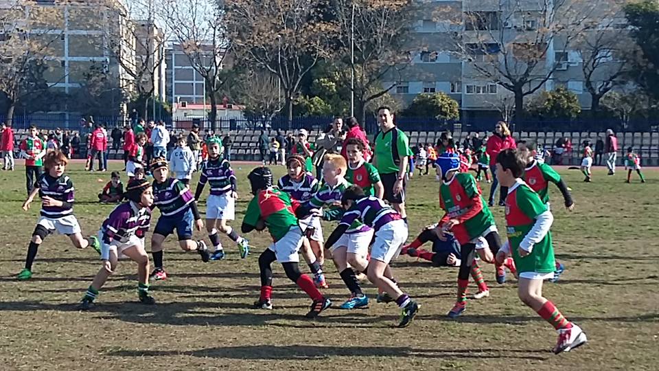 CAR-Torneo-Escuelas